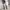 Lolica short jeans photo 2