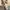 boneka photo 1