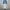 Nike sweatpants grey photo 1