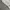 Nike sweatpants grey photo 4