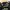 Crewneck PARENTAL ADVISORY Sweatshirt AOP Print  photo 5
