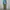 GLW cargo olive green photo 1