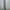 GLW cargo olive green photo 2