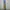 GLW Cargo Olive Green