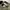 GLW cargo olive green photo 6