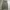 GLW cargo olive green photo 7