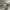 Eltoo cargo camo photo 6