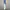 Xerobnr sweatpants grey photo 2