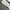 Xerobnr sweatpants grey photo 4