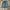 JORTS PANTS photo 2