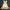 Fairy Floral Cottagecore  Milkmaid Maxi Dress