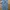Levi's Blue Light Stragiht Jeans 