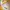 Umbro Gorpcore Sportswear Hat Pria yellow photo 4