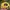 Umbro Gorpcore Sportswear Hat Pria yellow photo 3