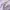 Uniqlo Kids Airism Light Purple - 160cm photo 6