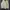 MLB Casual Bomber Jacket Pria Cream
