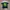 T-shirt Babygangcially Original Green Brand New