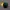 Caps Team hares green yellow original brand new photo 2