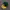 Caps Team hares green yellow original brand new photo 1