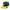 Caps Team hares green yellow original brand new photo 2