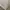 LMC Ice Kaos Shirt Fashion Men Gray photo 7
