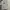 LMC Ice Kaos Shirt Fashion Men Gray photo 1