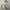 Tommy Hilfiger Men Trench Coat Casual Formal Beige   photo 1