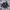 2020 RMPG LIVE JAPAN Big Graphic Windbreaker Coach Jacket photo 1