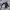 2020 RMPG LIVE JAPAN Big Graphic Windbreaker Coach Jacket photo 4
