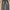 Baggy Pants Grey Wash