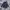 2000s Death Label Japan Big Logo Spell Out Long Coach Jacket photo 1