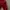 Adidas Red Tracksuit Pants/Joggers photo 2