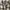 Plaid Flannel veterano photo 6