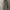 Colorful Standard Light Grey Sweatpants/Joggers photo 1