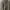 Colorful Standard Light Grey Sweatpants/Joggers photo 2