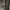 Colorful Standard Light Grey Sweatpants/Joggers photo 3