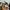 Dickies Vintage Streetwear Pria brown photo 4