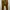 Dickies Vintage Streetwear Pria brown photo 7