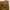 Dickies Vintage Streetwear Pria brown photo 8