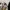Dickies Vintage Streetwear Pria brown photo 5