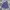 Graphiste ManG Spellout Pattern Made In Korea Casual Jacket