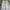 Y2K Baggy cargo sweatpants made in Korea photo 5