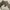 RMTCRW Romantic crown turtleneck sweater oversize photo 5
