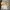 RMTCRW Romantic crown turtleneck sweater oversize photo 3