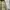 GU Gorpcore Puffer jacket Pria cream tan photo 3