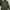Tommy Hilfigher Parka Jacket Original