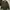 Tommy Hilfigher Parka Jacket Original photo 1