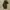 Tommy Hilfigher Parka Jacket Original photo 3