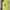 iPhone 11 Intern 64gb   photo 2