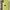 IPhone 11 Intern 64gb  
